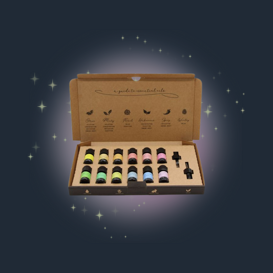 Aromatherapy Essential Oil Set - The Top 12