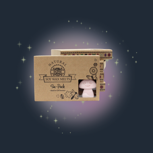 Box of 6  Wax Melts - Dark Sandalwood