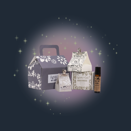 Clear & Breathe Ritual Set - Lake Breeze