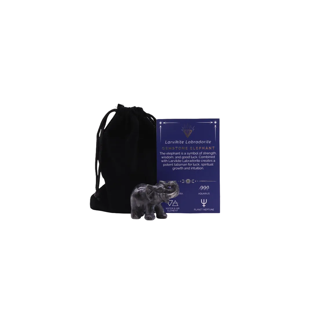 Mystic Insight Elephant Larvikite Labradorite