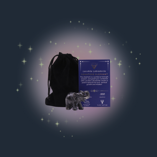 Mystic Insight Elephant Larvikite Labradorite