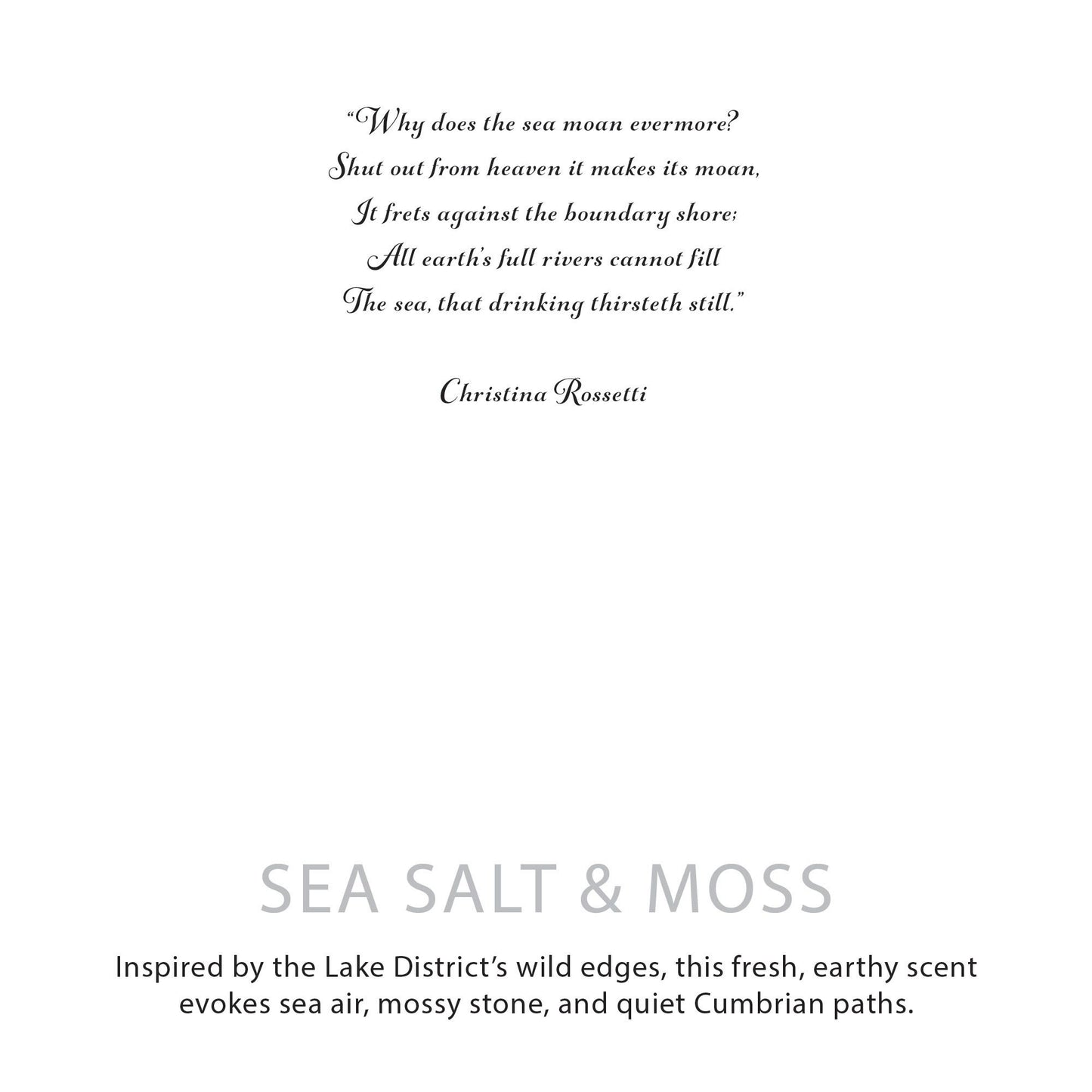 Clear Mind Candle Botanical soy wax candle – Seasalt & Moss