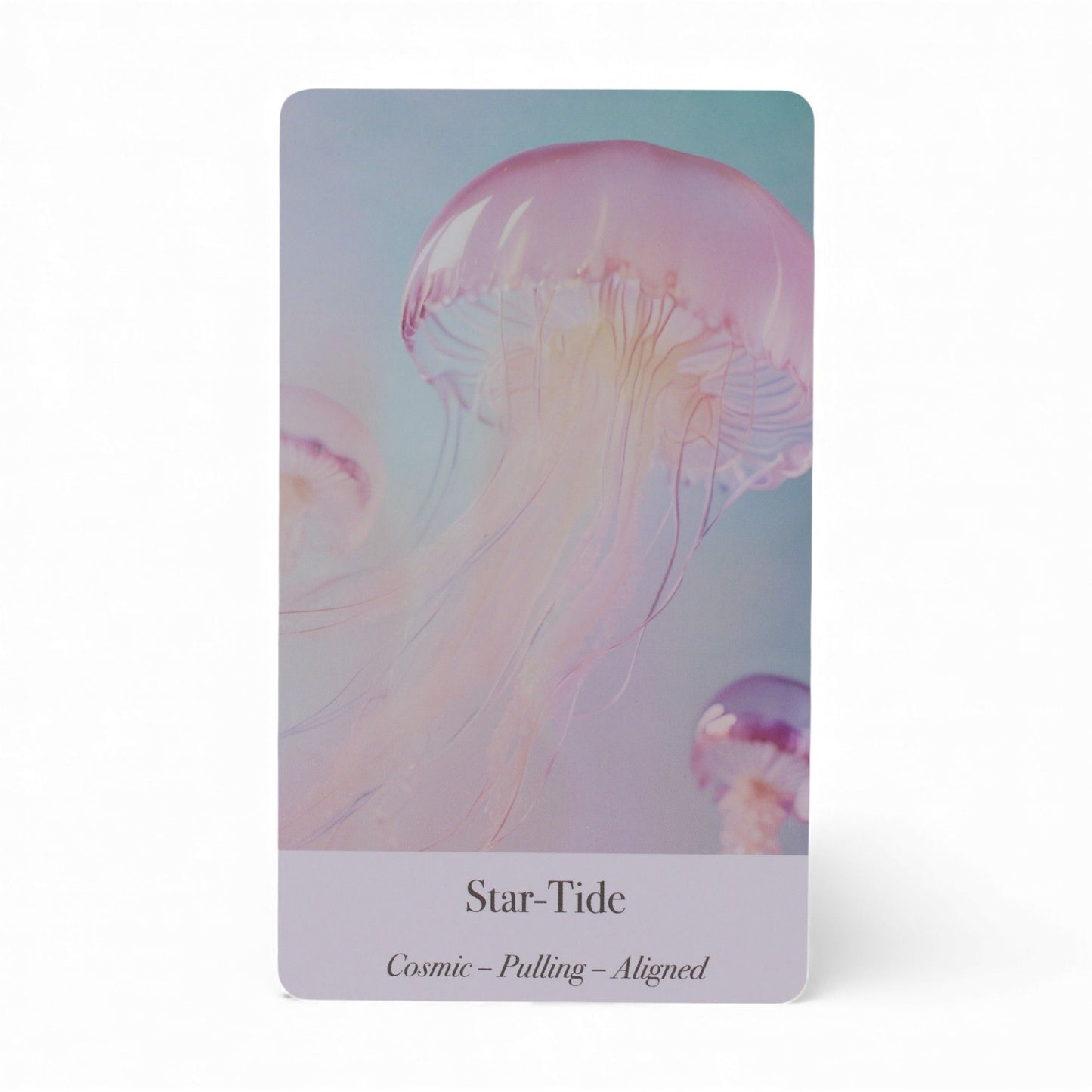 Moonlit Waters Oracle Cards – Intuition & Reflection Deck